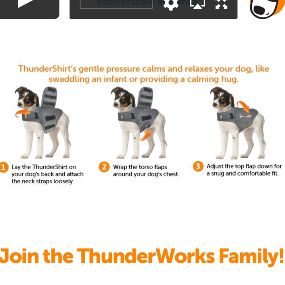 ThunderShirt for Dogs - Picture 7 of 8